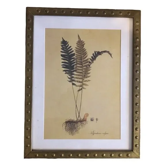 Rare IKEA Botanical Prints set of 4 Brass Frame